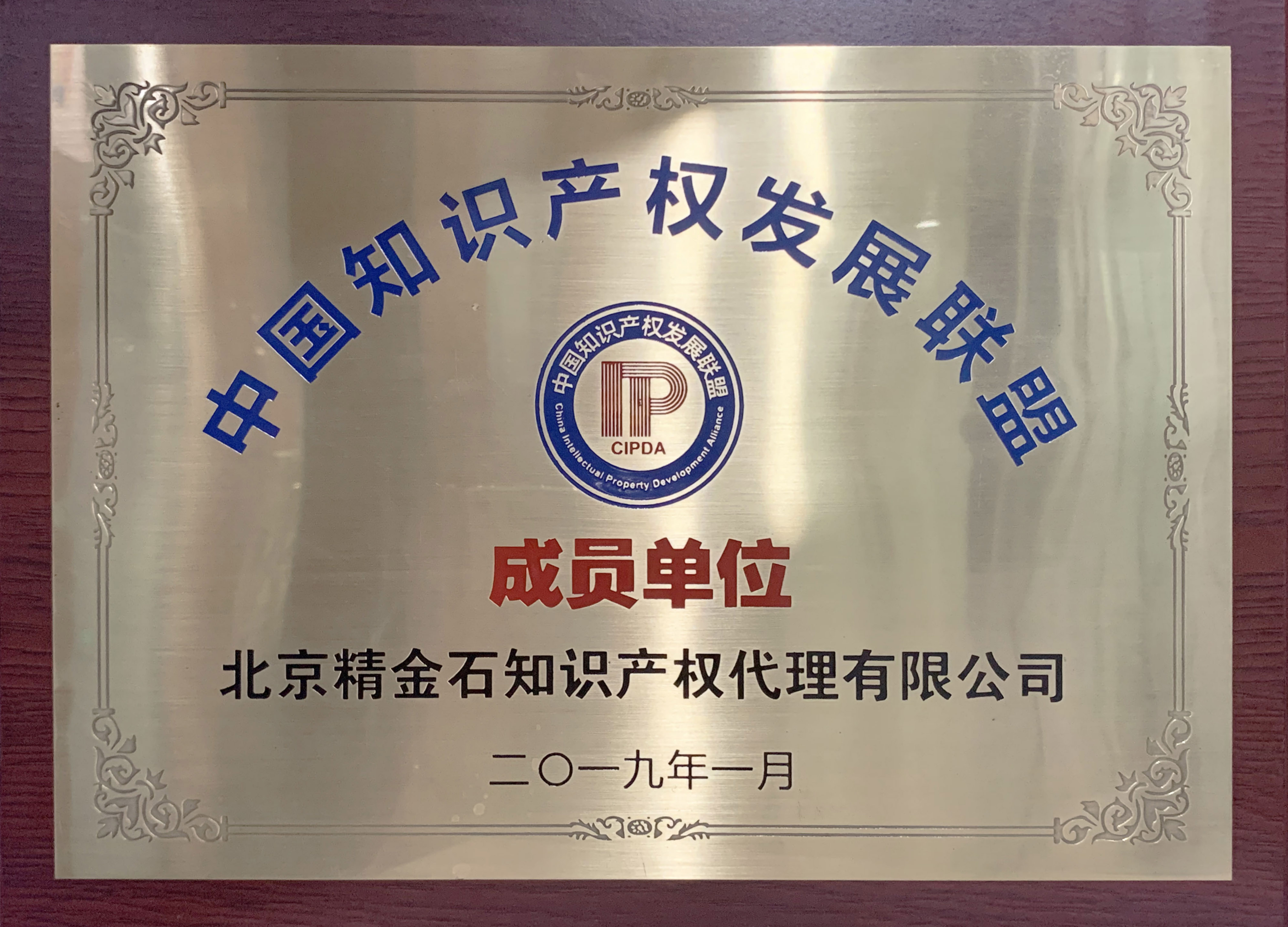 中國知識(shí)產(chǎn)權(quán)發(fā)展聯(lián)盟成員單位