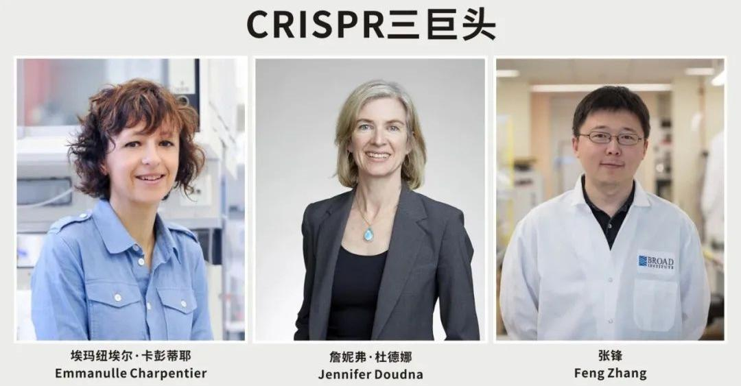 中國科學(xué)家張峰專利勝訴諾貝爾化學(xué)獎得主，看基因編輯的專利布局