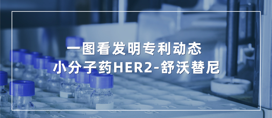 一圖看發(fā)明專利動態(tài)｜新藥研發(fā)領域——小分子藥HER2-舒沃替尼
