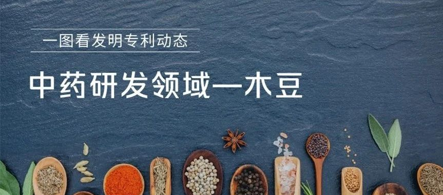 一圖看發(fā)明專利動態(tài)｜中藥研發(fā)領(lǐng)域——木豆